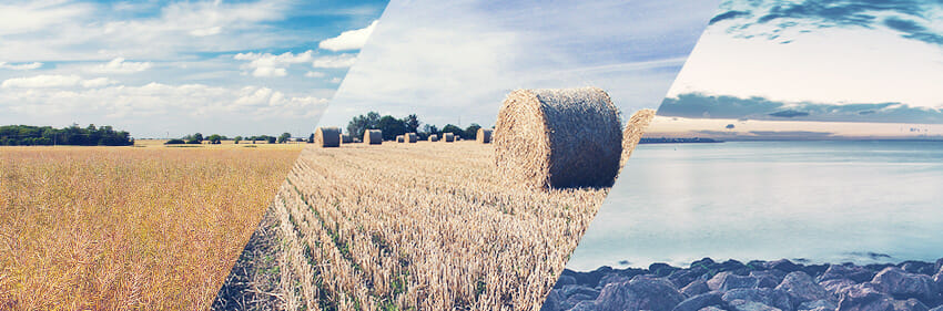photoshop action blog featured image