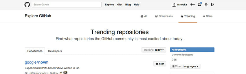 Github's clean interface isn't rich in graphics and full of explanatory text.