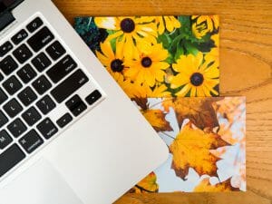 Boss Fight, stock photos, computer, mac, flowers