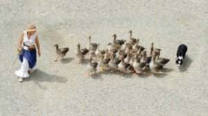 skitterphoto