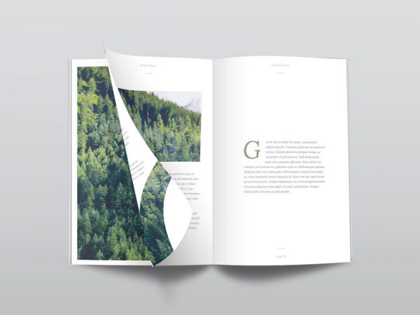Magazine Mockup, magazine, book