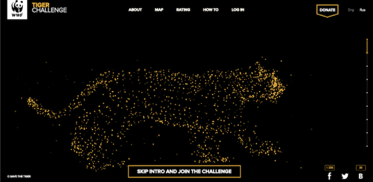 WWF Tiger Challenge, website design inspiration